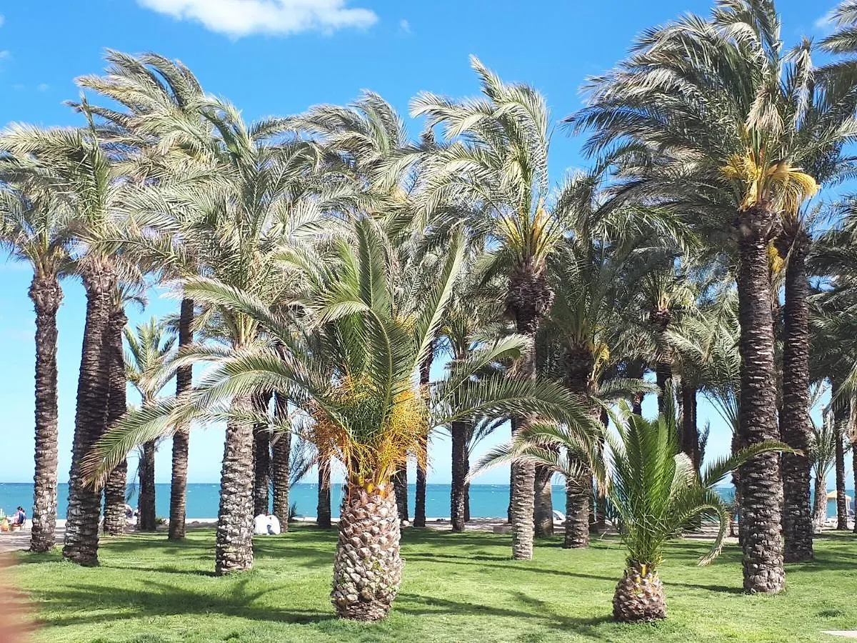 Apartamento , Torremolinos, Calle De Las Mercedes 16. Hotel 0*, Torremolinos Spain